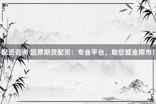 配资咨询 固原期货配资：专业平台，助您掘金期市！