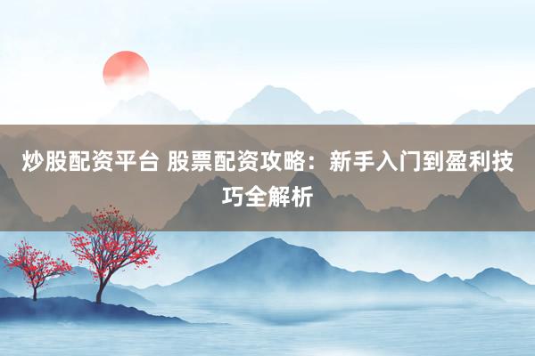 炒股配资平台 股票配资攻略：新手入门到盈利技巧全解析