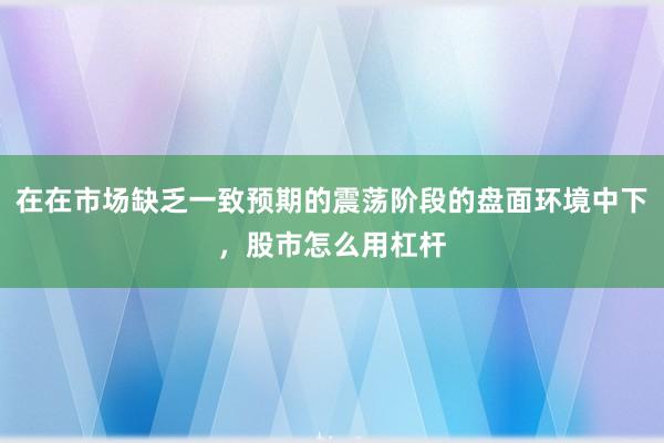 在在市场缺乏一致预期的震荡阶段的盘面环境中下，股市怎么用杠杆
